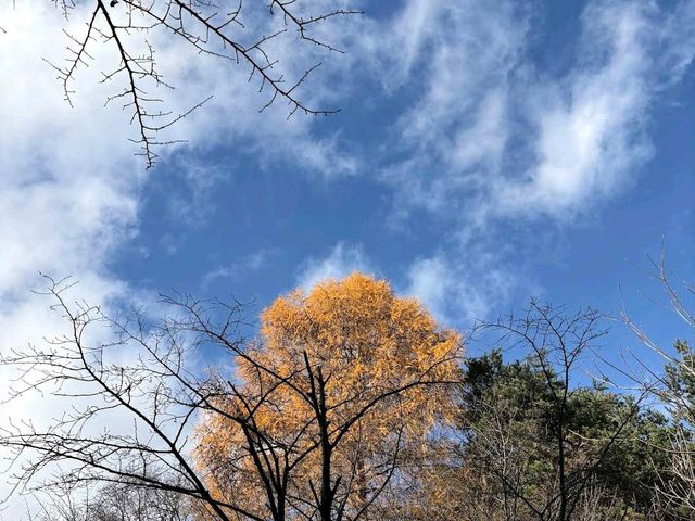 Maruyama Park