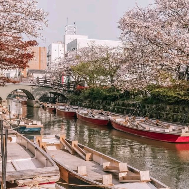 Yanagawa