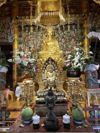 Da Nang 17 Days Itinerary