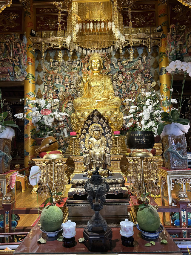 Da Nang 17 Days Itinerary
