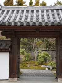 【兵庫×春旅】  