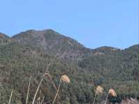 History of the trip to Kawaguchiko (23.03.25)