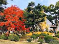 濃縮廣島四季美景，楓紅如畫的縮景園