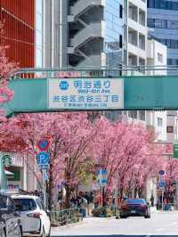 Chasing Sakura at Sakuragaoka in Shibuya