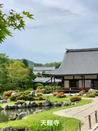 京都・女子ひとり旅
