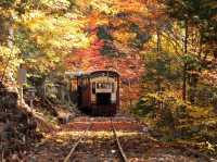 Chasing Autumn Foliage at Kiso Valley