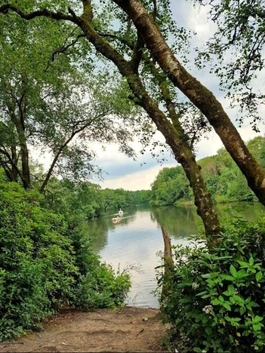 Heaton Park