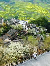 Springtime Escape to Chunshan 🌸🏞️