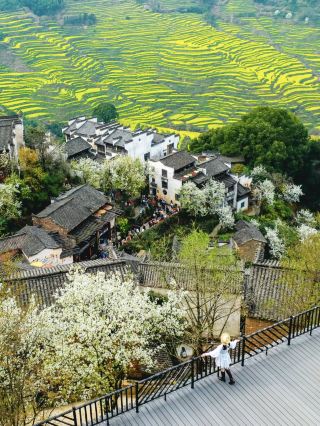 Springtime Escape to Chunshan 🌸🏞️