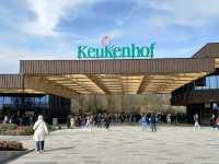 "Keukenhof: The World’s Most Beautiful Spring Garden in the Netherlands"