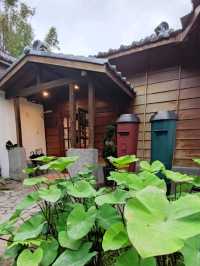 #CAMA COFFEE ROASTERS豆留森林-臺北士林
