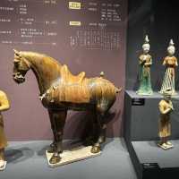 穿越千年文明：探索陝西考古博物館的瑰寶