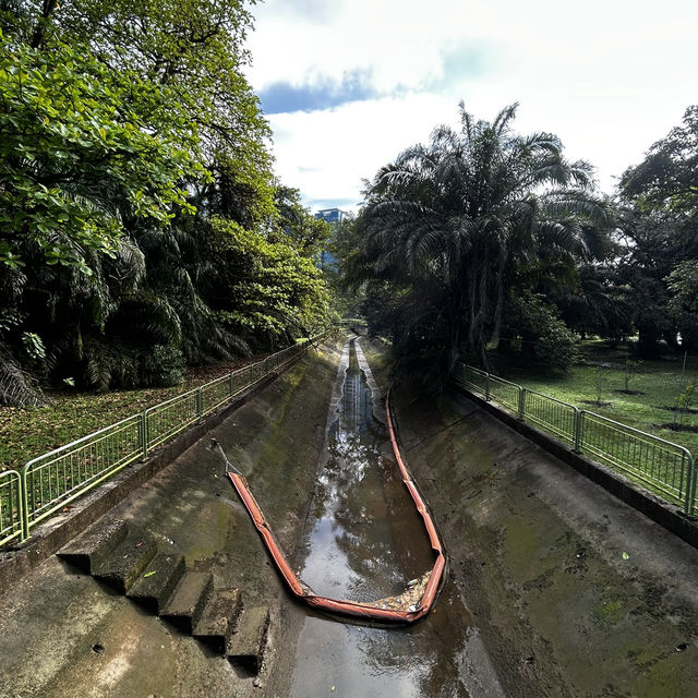 West Coast Park Singapore: Camp, Jog, Fish & Play – Your Ultimate Family Weekend Playground! 🏕️⚾