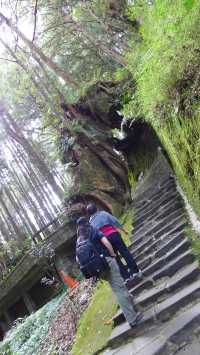 Peaceful Escapes in the Mountains of Alishan, Taiwan