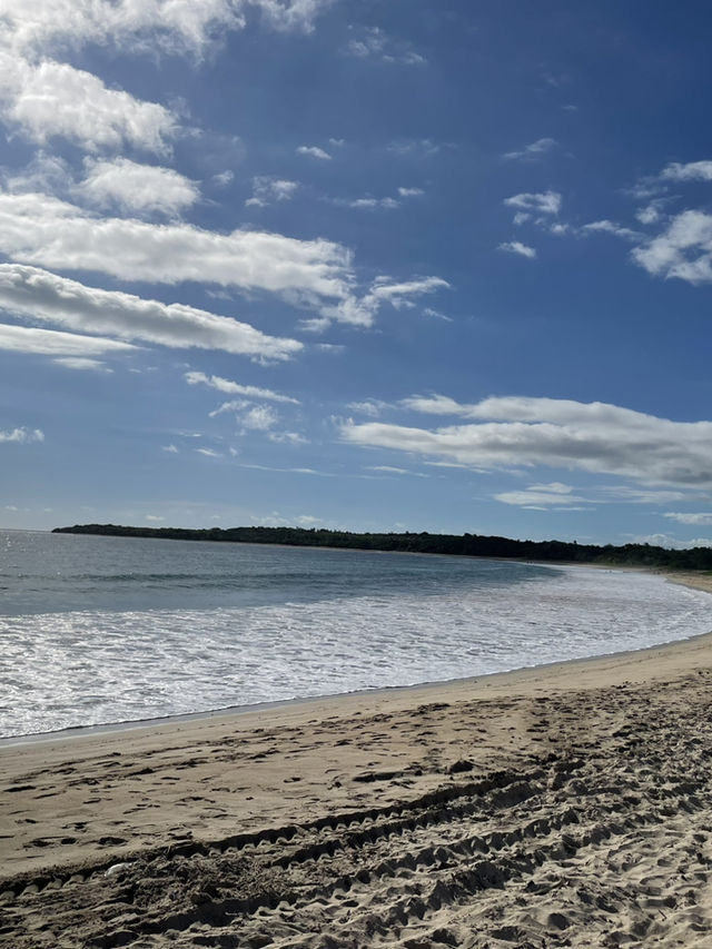 Fiji coral coast 