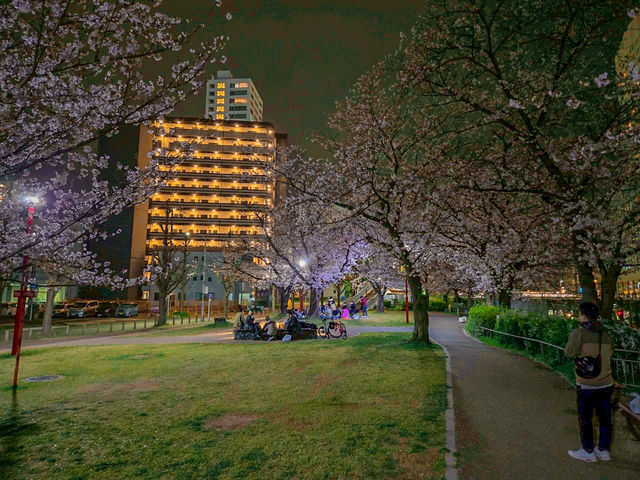 【名古屋】都会のオアシスに咲く桜を満喫できる穴場スポット✨🌸  