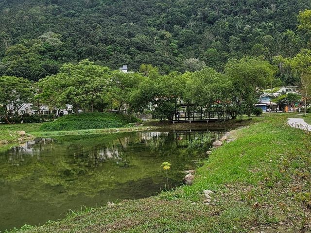 花蓮〔鯉魚潭〕悠然湖光下的心靈釋放