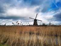 Museummolen Nederwaard: A Living Testament to Dutch Water Management
