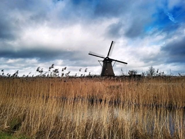 Museummolen Nederwaard: A Living Testament to Dutch Water Management