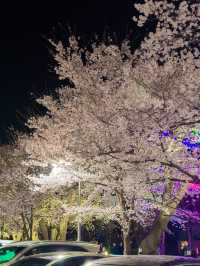 울산 여행 오셨나요? 울산역 도착하자마자 가야할 곳, 여기예요!  