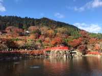 紅葉の名所！「勝尾寺」で真っ赤な秋を感じるお寺さんぽ🍁