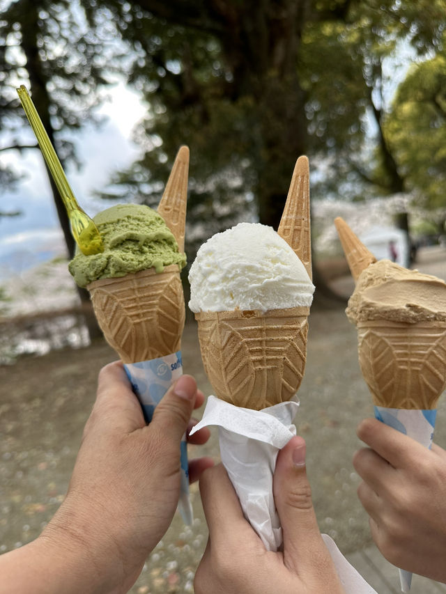 [Japan 2025] Ice cream & sakura