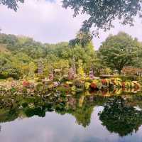 Blossoms and Tranquility: A Day at Hangzhou Botanical Garden