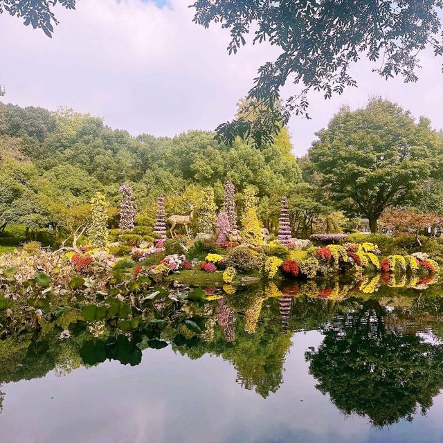 Blossoms and Tranquility: A Day at Hangzhou Botanical Garden