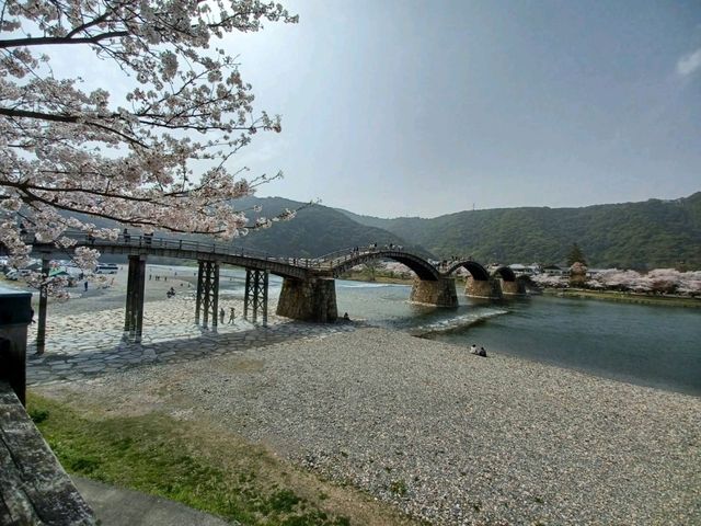 岩国市の錦帯橋