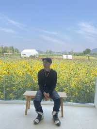1 Day trip เขาใหญ่  
