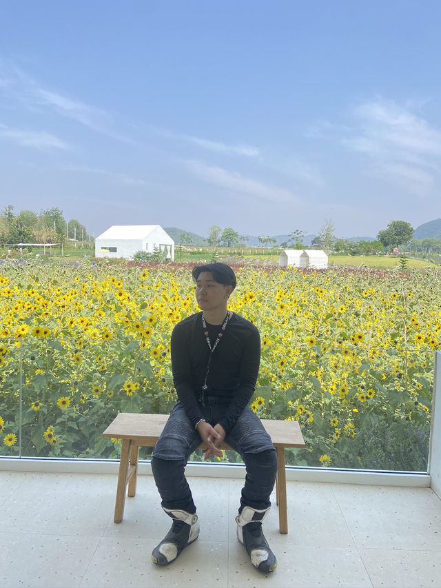 1 Day trip เขาใหญ่  