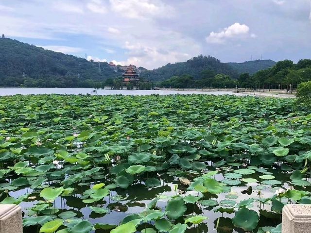 Foshan City Memories