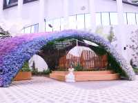 เที่ยวงานดอกไม้ Wondrous Bloom 