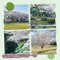 櫻花的搬運工～宇茂佐之森公園