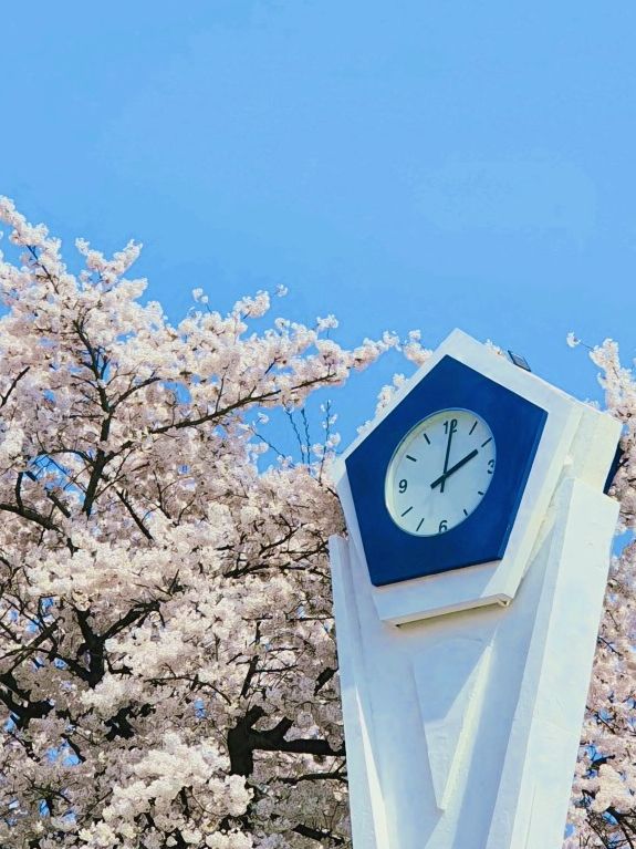 Unveiling the Pink Paradise: Jayu Park Awaits! 🌸➡️🌳🌸