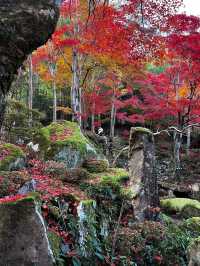 【滋賀県】近江八幡で紅葉がオススメな場所