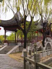 The Quiet Charm of Jiaxing’s Xitang