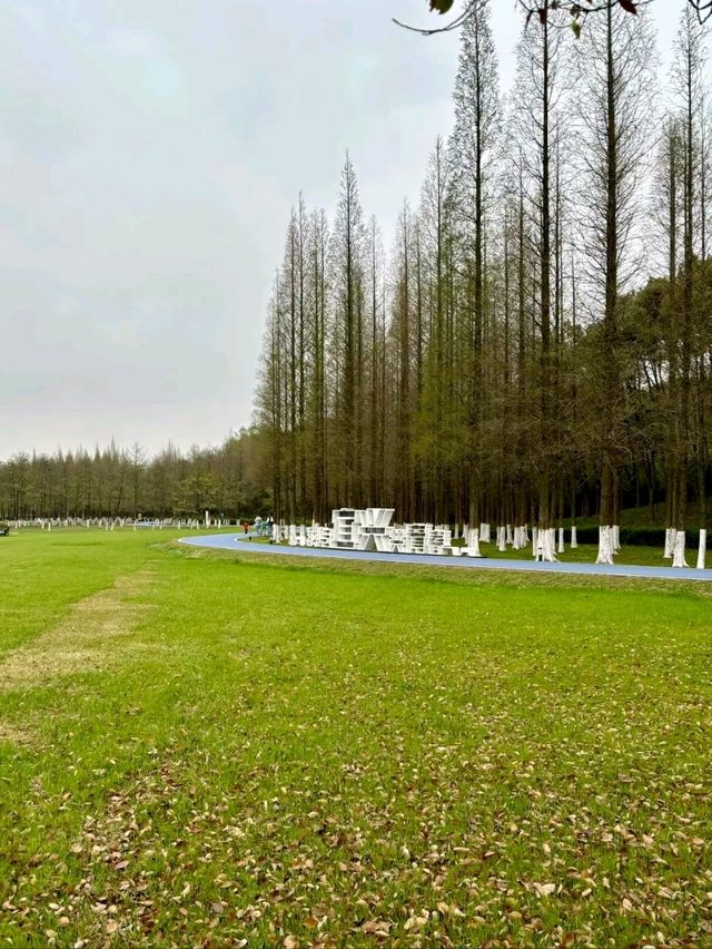 Longbei Mountain Forest Park: A Verdant Oasis in the City