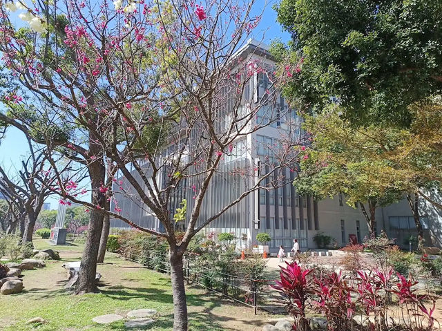 🌸** 中科崴立櫻花公園不僅擁有自然美景**🌸