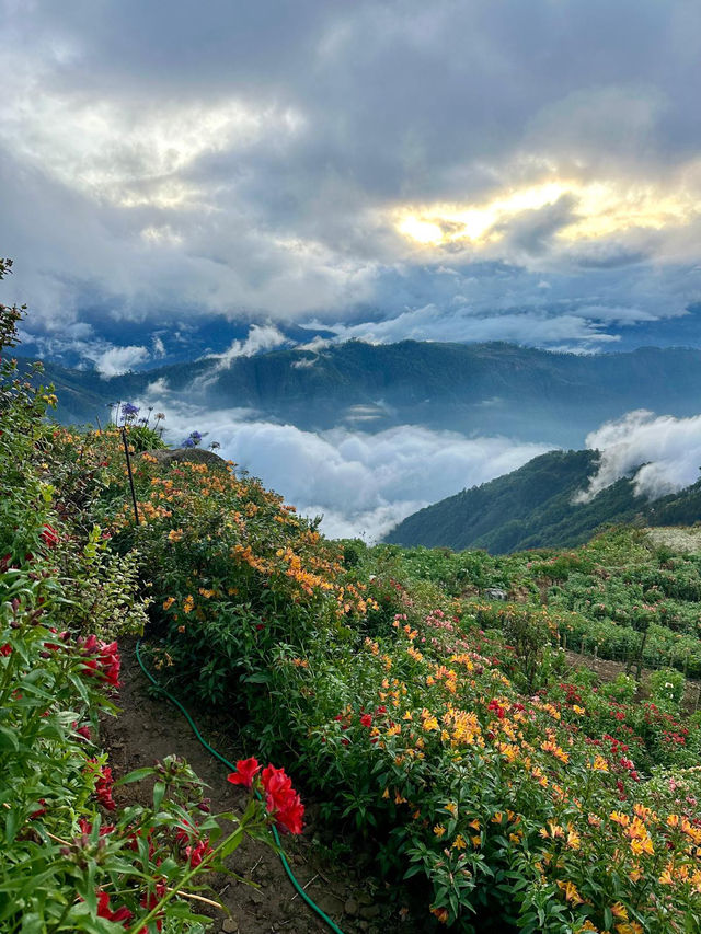 Between Heaven and Earth