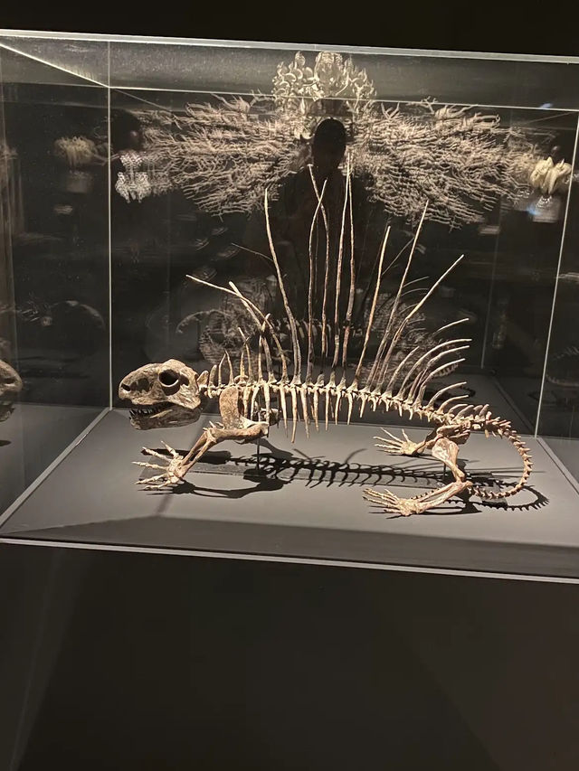 Art Science Museum