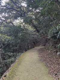德島城遺跡