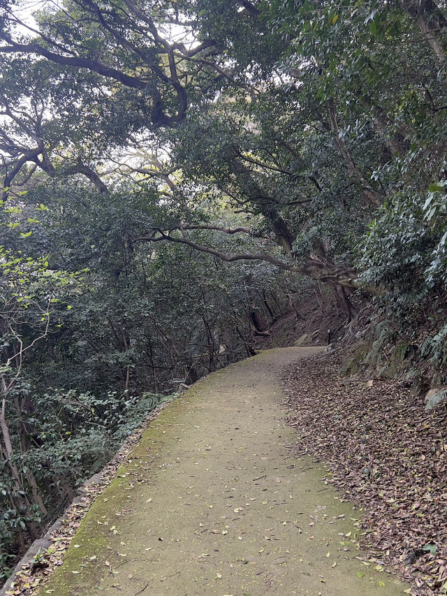 德島城遺跡