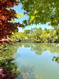 【京都】青紅葉の天国🍁 絶景スポット多数あり