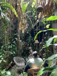 The Baboon House