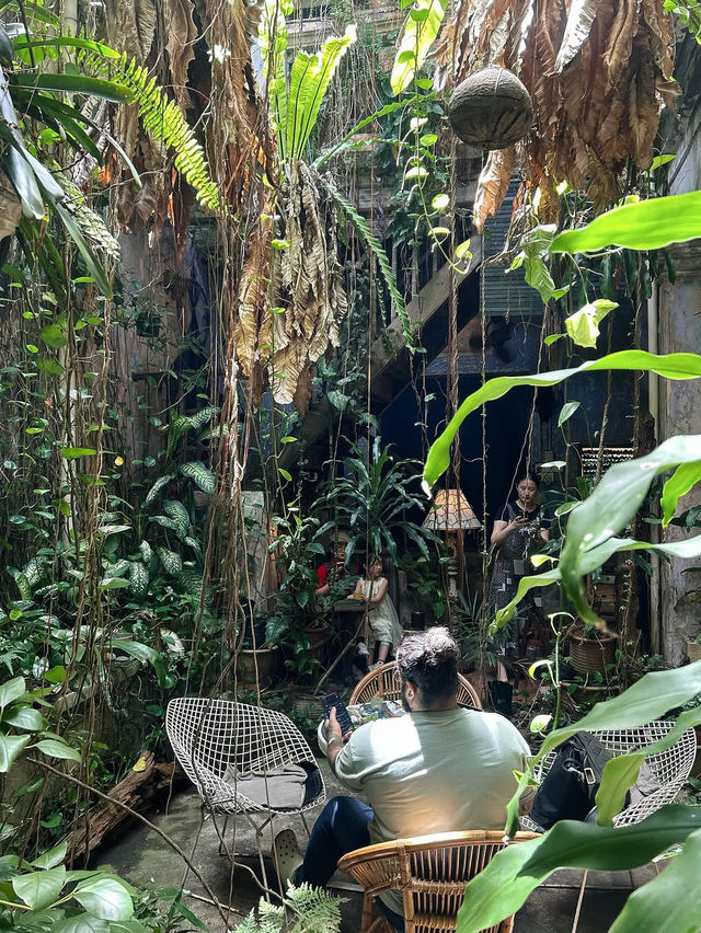 The Baboon House