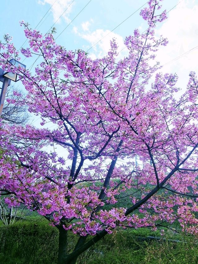 日本愛知縣《千與千尋》中湯屋的奇幻場景