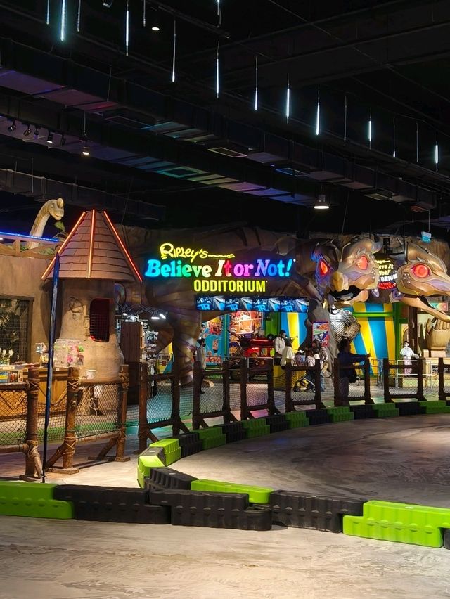 Where Curiosity Meets Entertainment