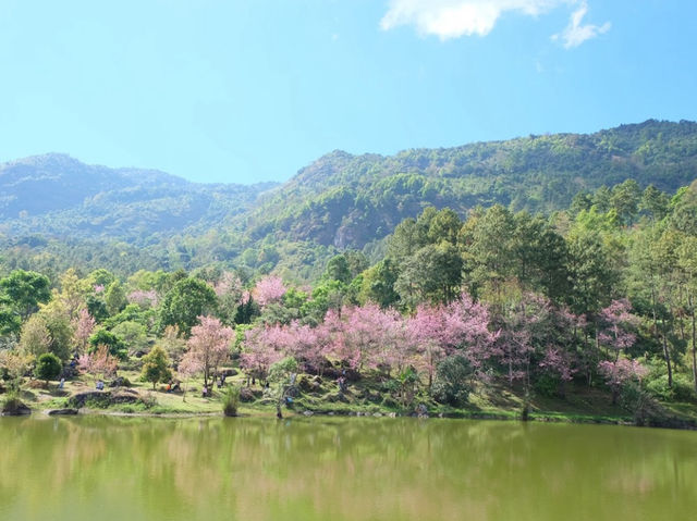 รวม 8 จุดเช็คอินสัมผัสธรรมชาติที่ดอยอินทนนท์🌳