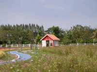 สวนดอกไม้ บ้านไร่นายรุ่ง กาญจนบุรี